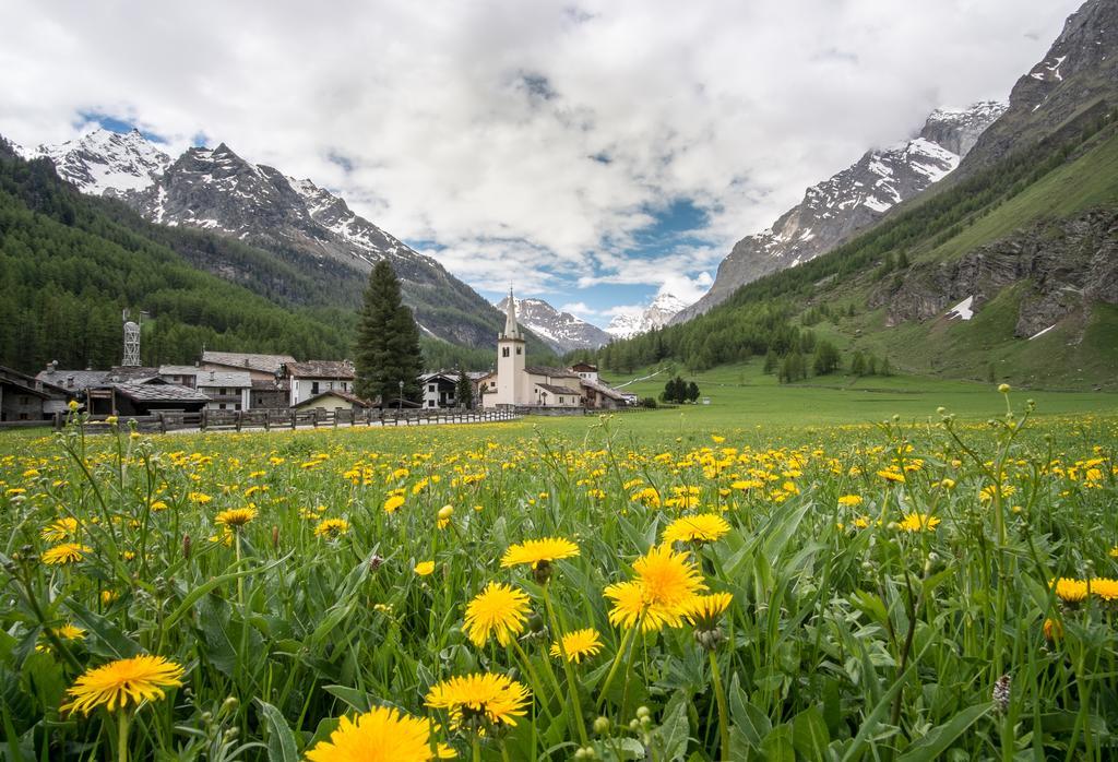 Case Gran Paradiso Rhemes Notre Dame Екстериор снимка